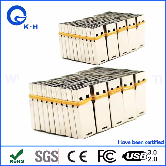 128 MB, 256 MB, 512 MB, 1 GB, 2 GB, halbfertiger USB2.0-Chip