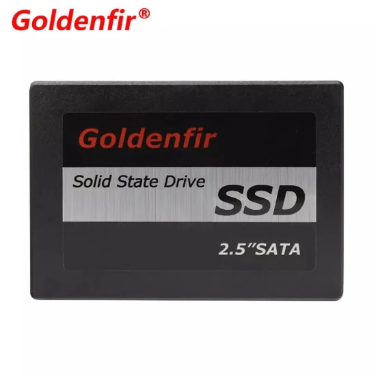 Goldenfir SSD 120 GB Disc Solid State Disk HDD 2,5 Zoll HD SSD Flash-Festplatte OEM