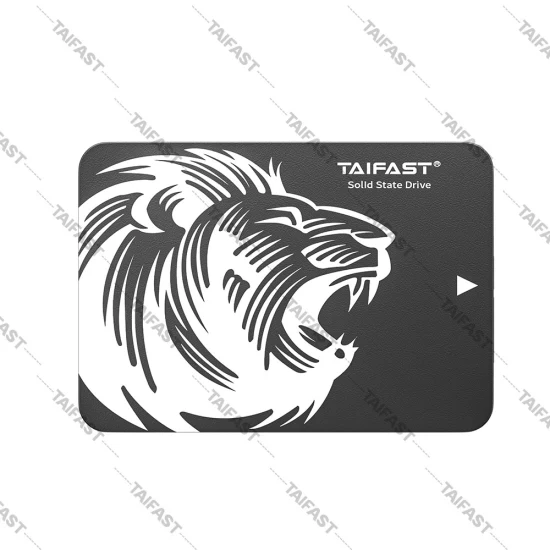 Taifast Hotsale tragbare SSD 120 GB 240 GB 480 GB M. 2 Ngff Solid State Drive für PC Laptop 5 % Rabatt